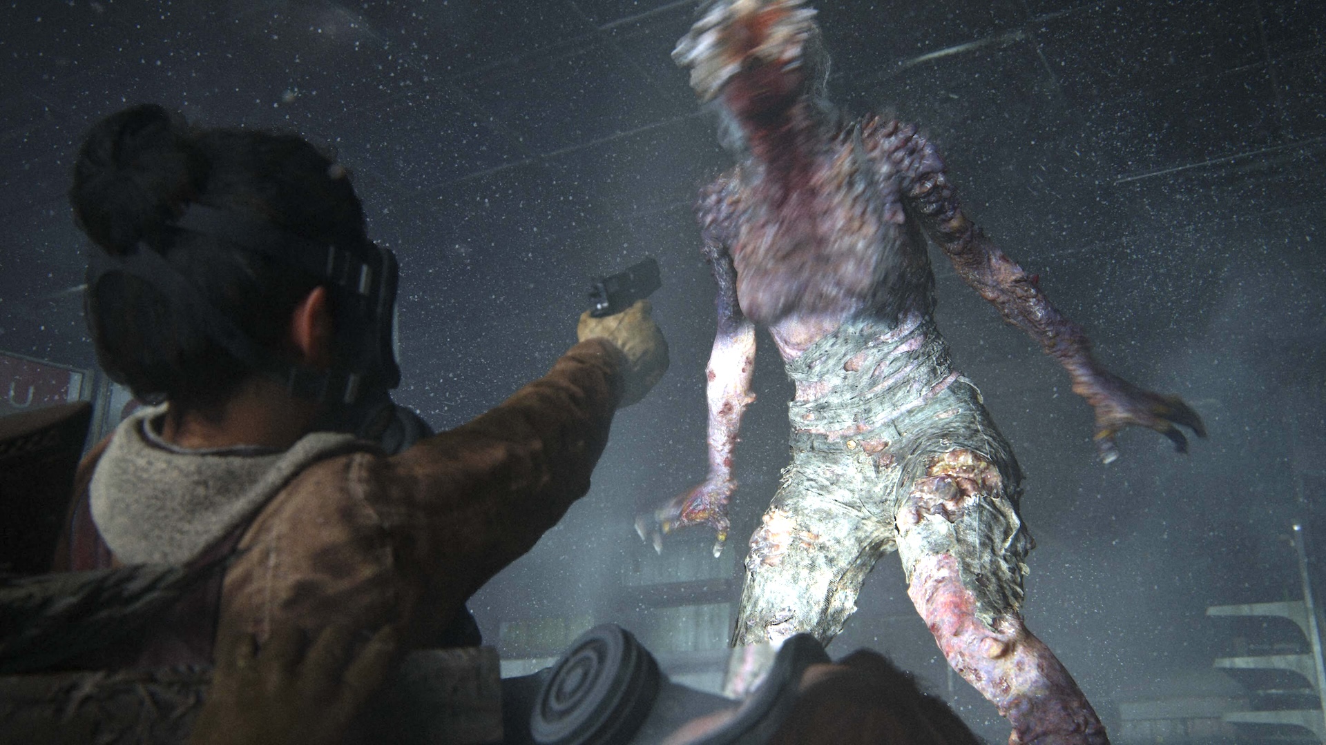 Un Cordyceps transforme des araignées en zombies : The Last of Us dans la vraie vie ?