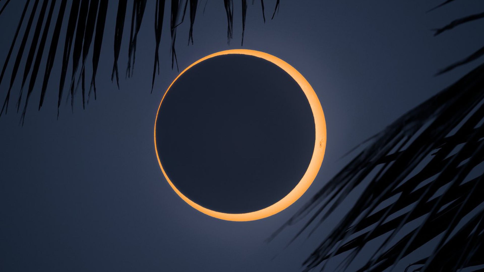 Ces photos de l???éclipse annulaire de Soleil du 2 octobre 2024 sont spectaculaires