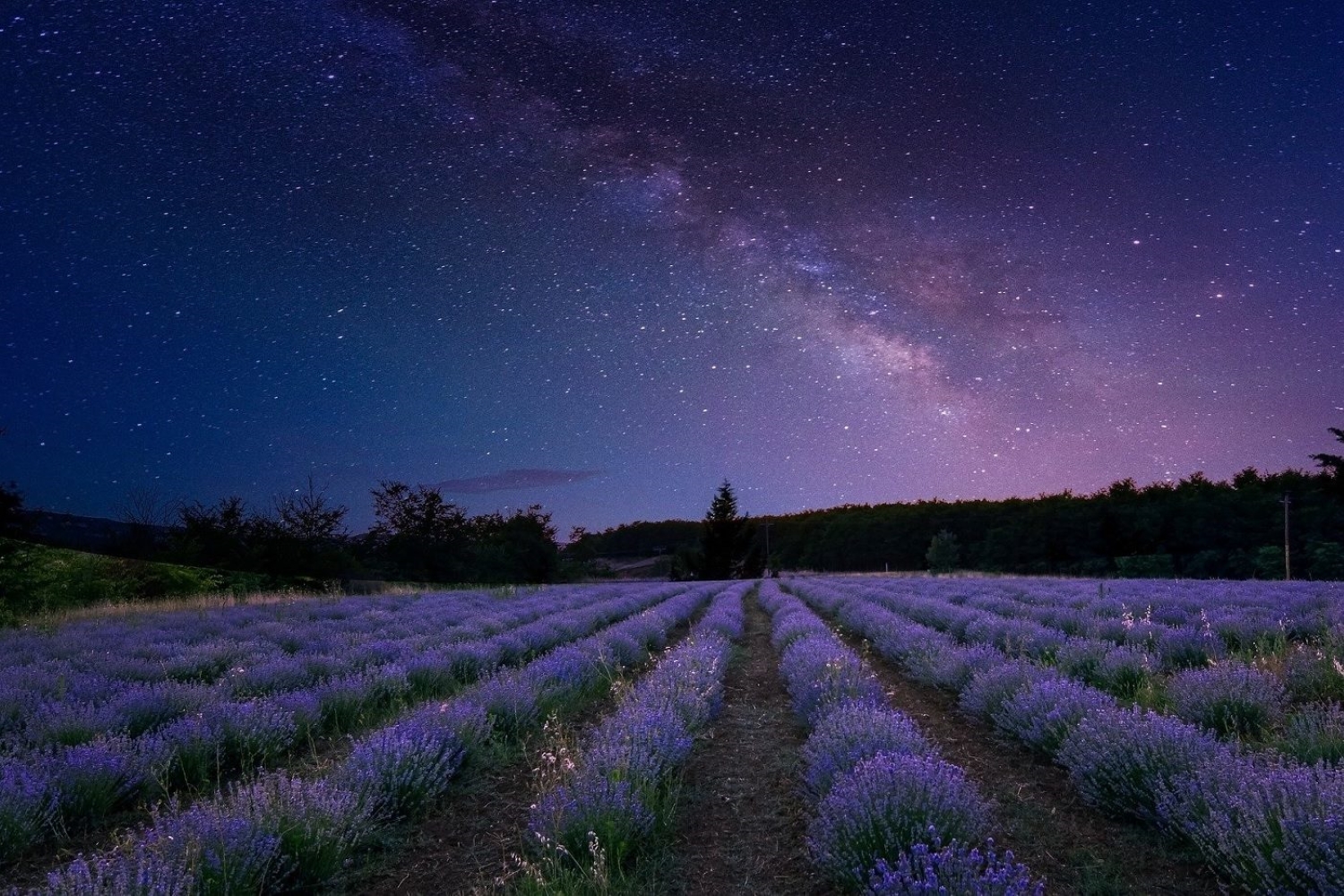 Quels sont ces mystérieux signaux captés dans une galaxie lointaine, très lointaine ?