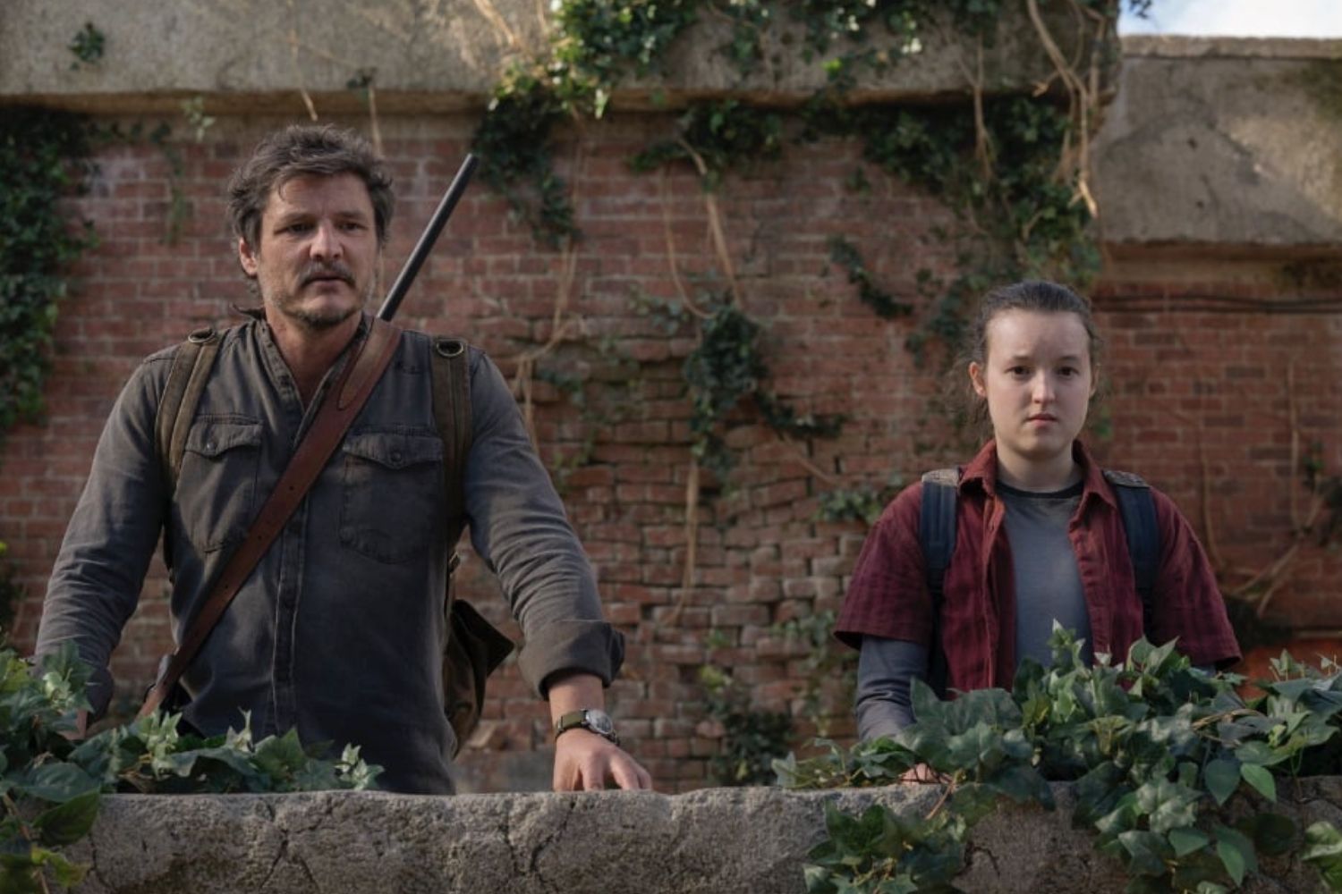 The Last of Us (MAX) : date de sortie, bande-annonce, intrigue, casting de la saison 2