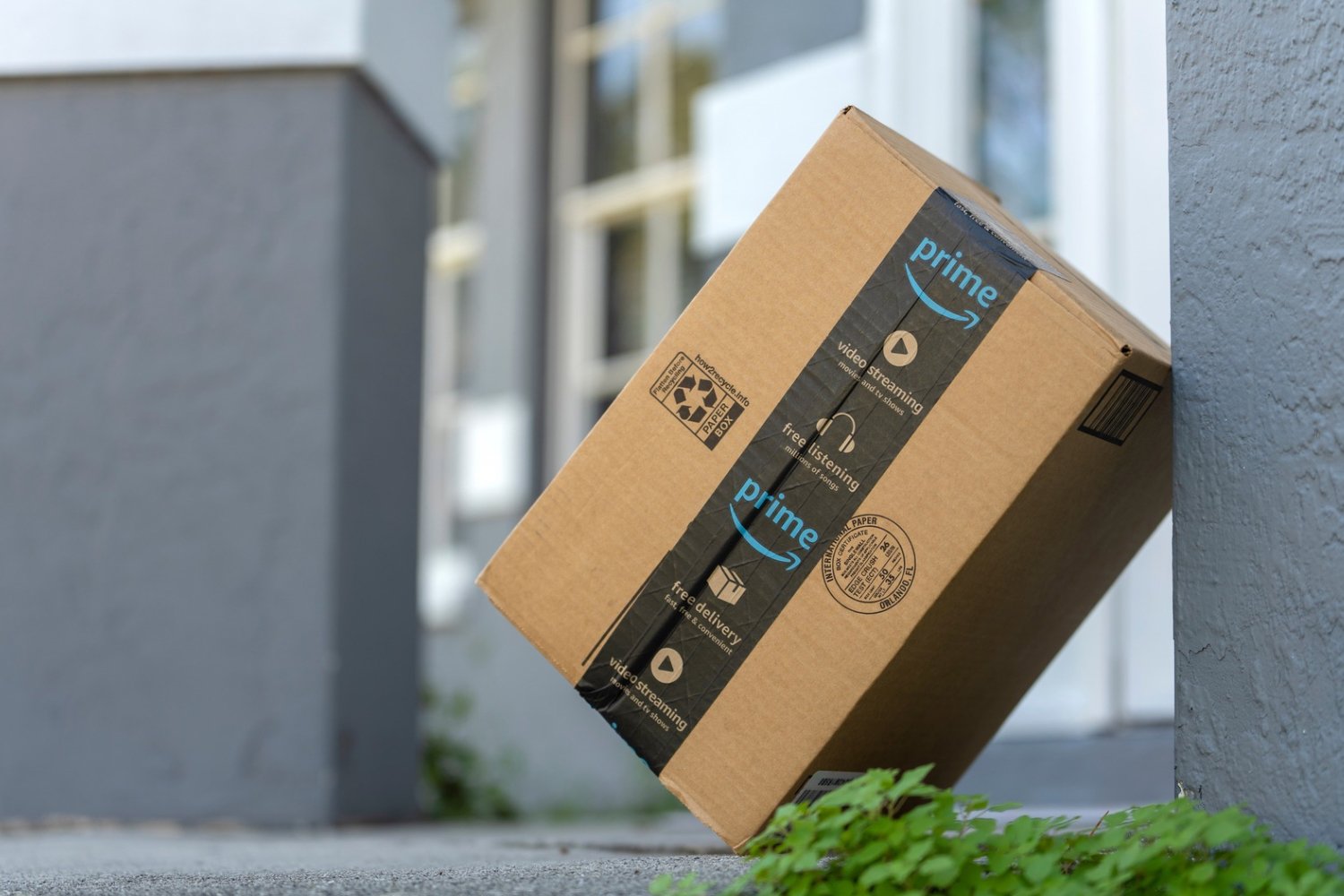 Café, The Legend of Zelda : quels sont les achats urgents des Français sur Amazon ?