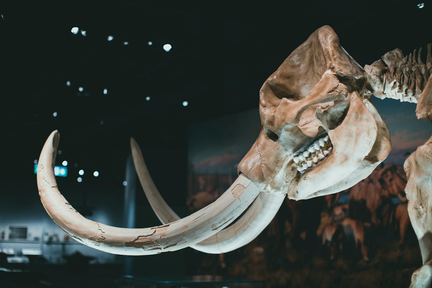 Vers un Jurassic Park moderne ? Une entreprise mise sur l’ADN pour recréer des espèces...