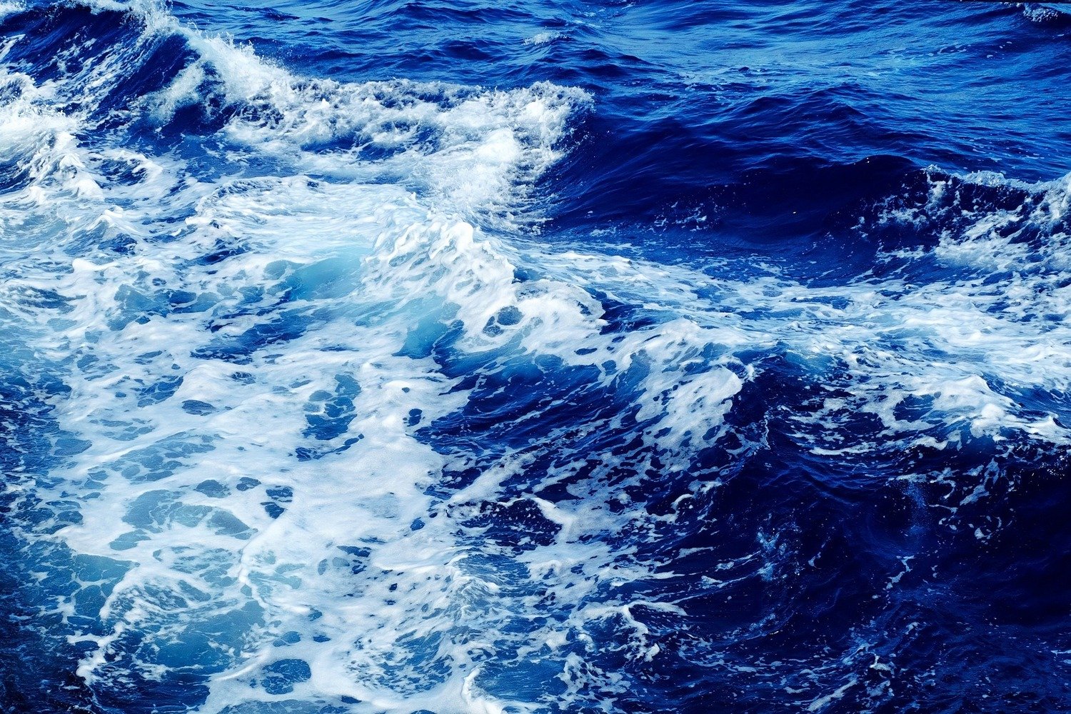 Cet ingénieur vient de passer 4 mois sous l’eau à 11 mètres de profondeur : dans quel but ?