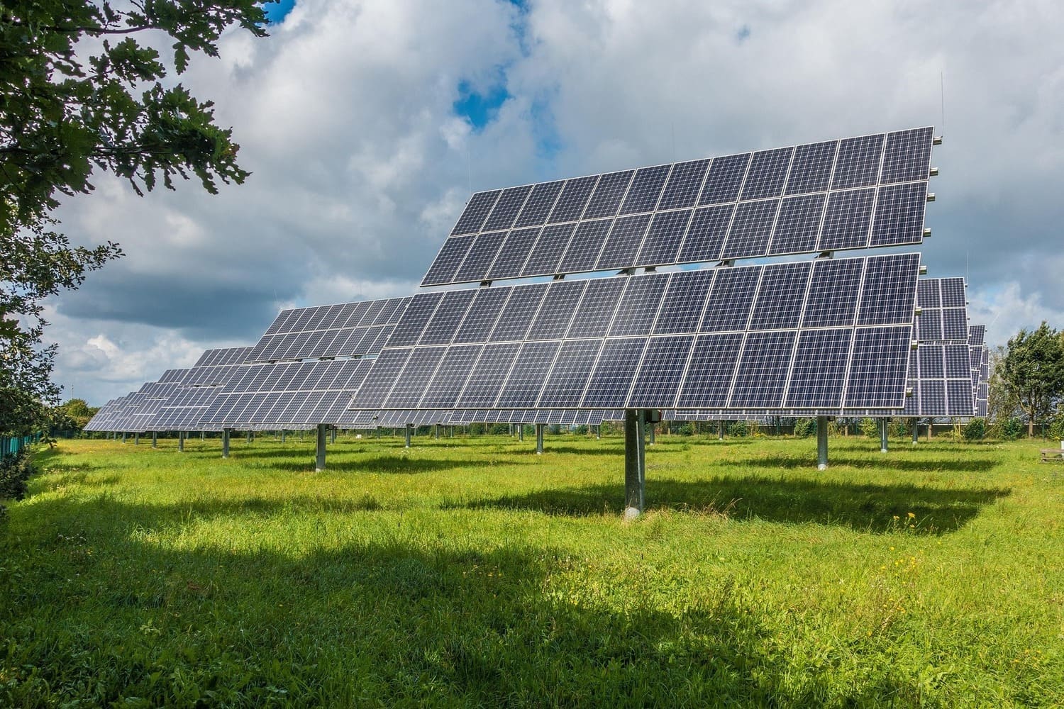 2024 a été une année record pour les énergies renouvelables : voici les chiffres