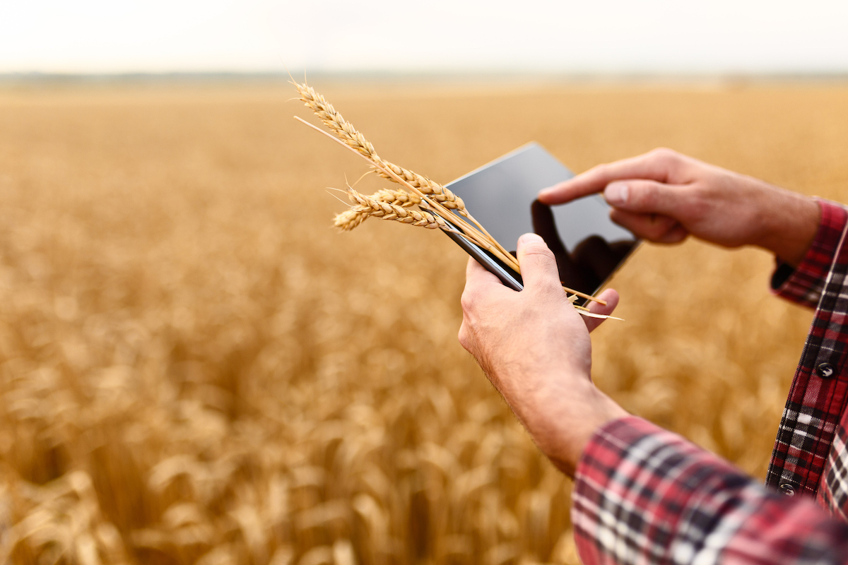 Agdatahub, le data space de l’agriculture, termine sa course en rase campagne
