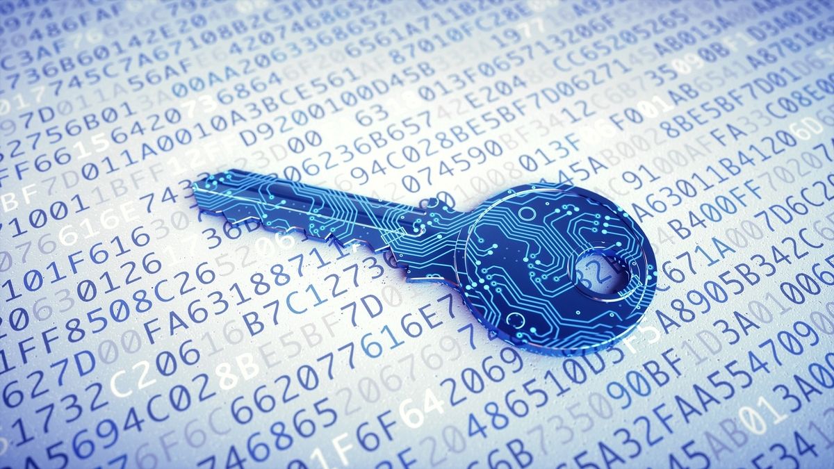 Près d’un demi-milliard de dollars volé en 2024 via des wallet drainer, selon Scam sniffer