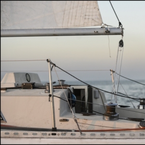 ALBATROS