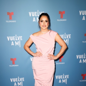 Vuelve a Mí, Red Carpet LA Premiere