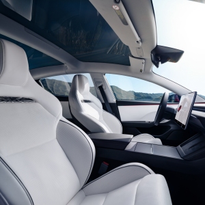 Tesla Model 3 Performance