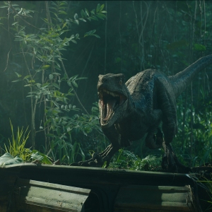 Velociraptor Blue in Jurassic World: Fallen Kingdom.
