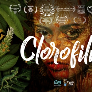 Clorofilia