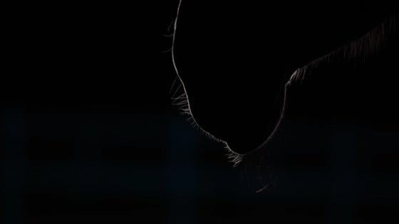 Requiem - Audrey Kessedjian