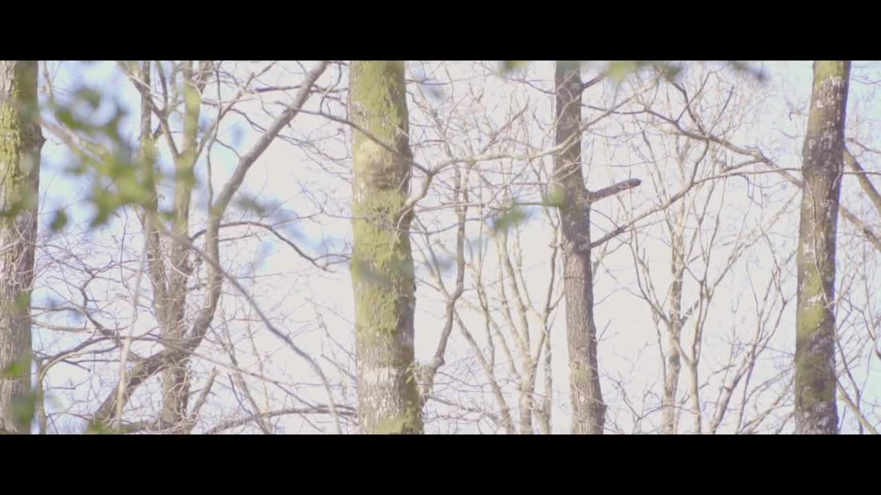 Spirit - Music Clip